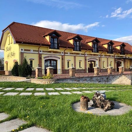 Kastely Grof Zichy Hotel Haniska Buitenkant foto