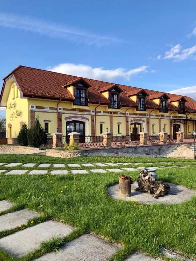 Kastely Grof Zichy Hotel Haniska Buitenkant foto