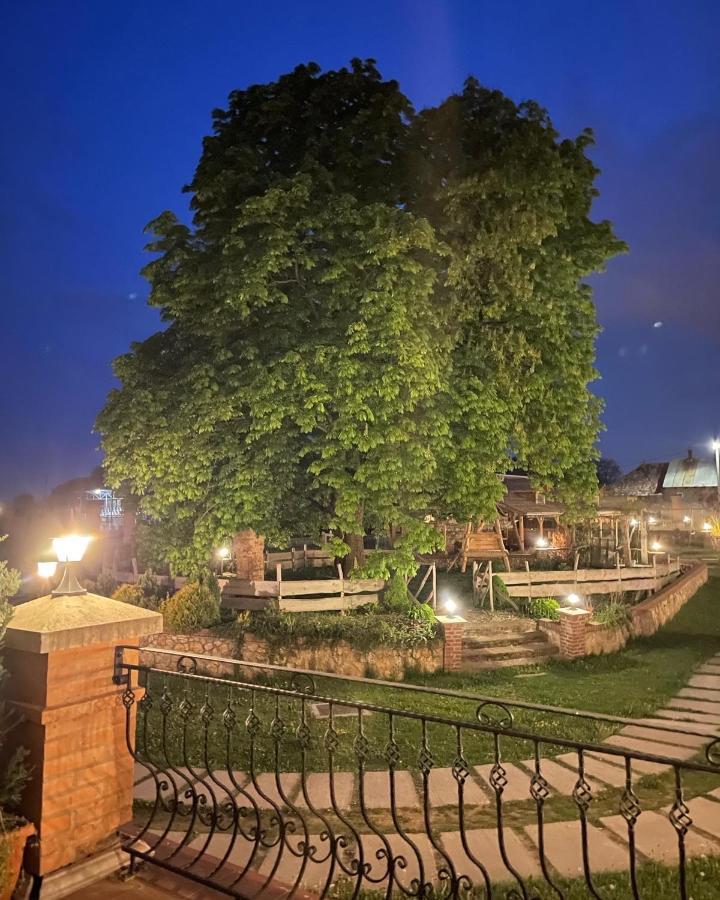 Kastely Grof Zichy Hotel Haniska Buitenkant foto