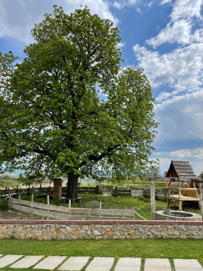 Kastely Grof Zichy Hotel Haniska Buitenkant foto