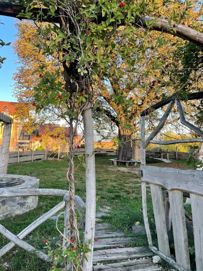 Kastely Grof Zichy Hotel Haniska Buitenkant foto